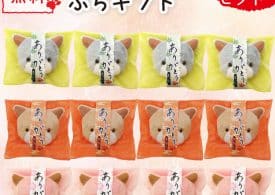 %e3%83%9b%e3%83%af%e3%82%a4%e3%83%88%e3%83%87%e3%83%bc%e3%81%ae%e3%81%8a%e8%bf%94%e3%81%97%e3%80%80%e7%be%a9%e7%90%86%e3%83%81%e3%83%a7%e3%82%b3%e3%81%ae%e5%a0%b4%e5%90%88%e3%81%af%ef%bc%9f%e3%80%80-3